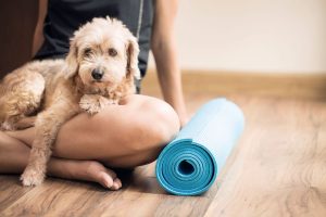Connect with Joy through Puppy Yoga