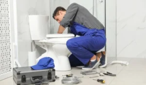 explore the cost breakdown for toilet installation